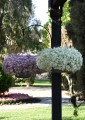 IMG_3635.jpeg