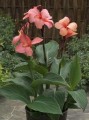 IMG_3831.jpeg