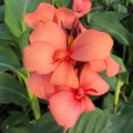 IMG_3827.jpeg