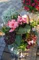 IMG_4111.jpeg