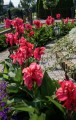 IMG_4123.jpeg