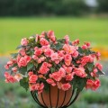 IMG_4128.jpeg