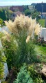 C972A40A-88DB-4311-BE1D-E156E37DAA30.jpeg