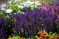 IMG_1059.jpeg