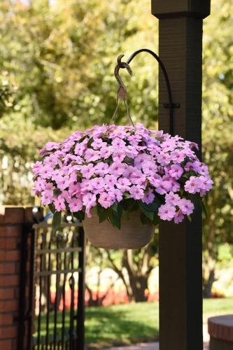 IMG_9002.webp