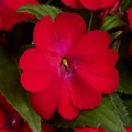 IMG_7600.webp