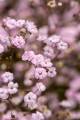 IMG_0683.jpeg
