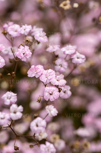 IMG_0683.jpeg