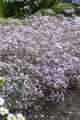 IMG_0682.jpeg