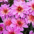 IMG_5413.jpeg