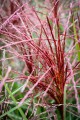 fcdbdeb3-ef85-418a-bd87-4b7c3a675d80.jpeg