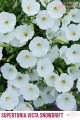 Supertunia™ VISTA™ Snowdrift